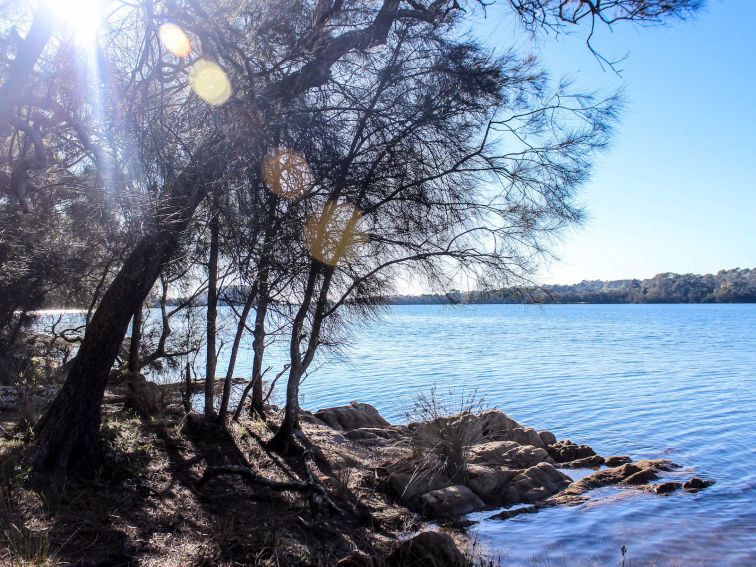 Mummaga Lake Walk starts at Bodalla Forest Rest Area