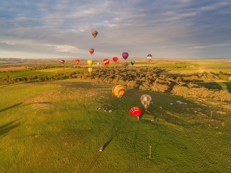 Cabonne balloons