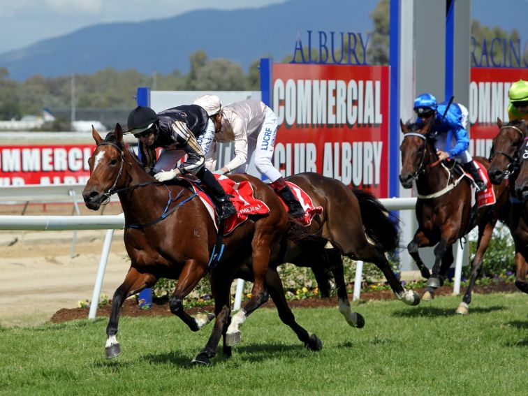 Albury Racing Club