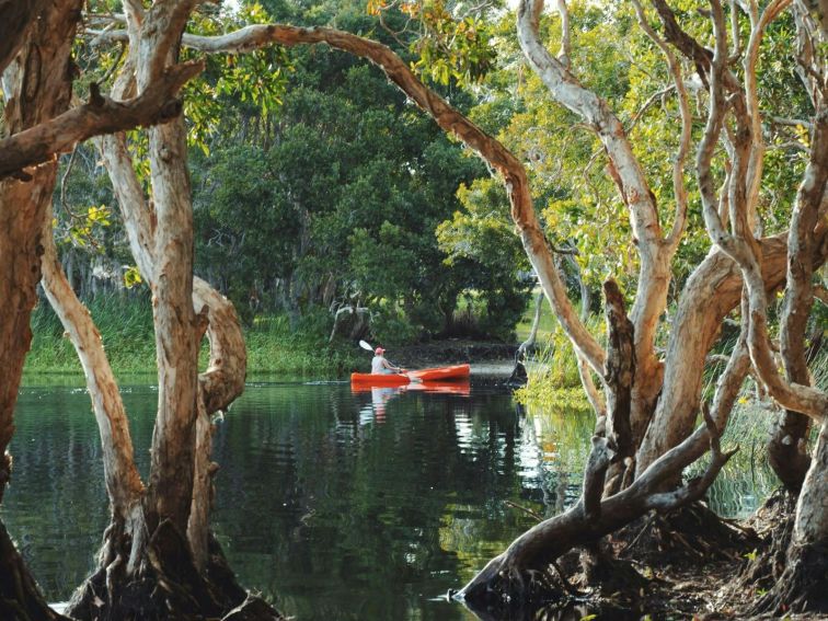 Kayaking on lake