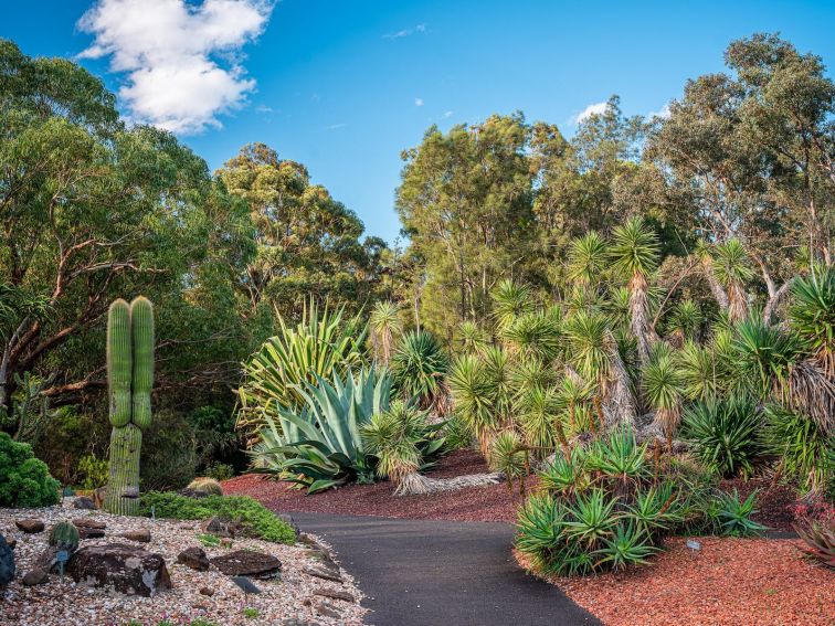 Wollongong Botanic Garden