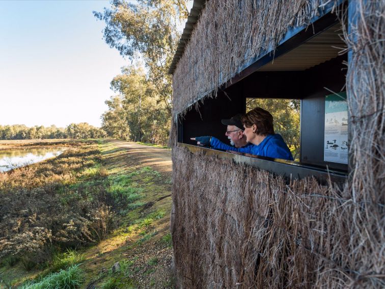 Marrambidya Wetland, Wagga Wagga