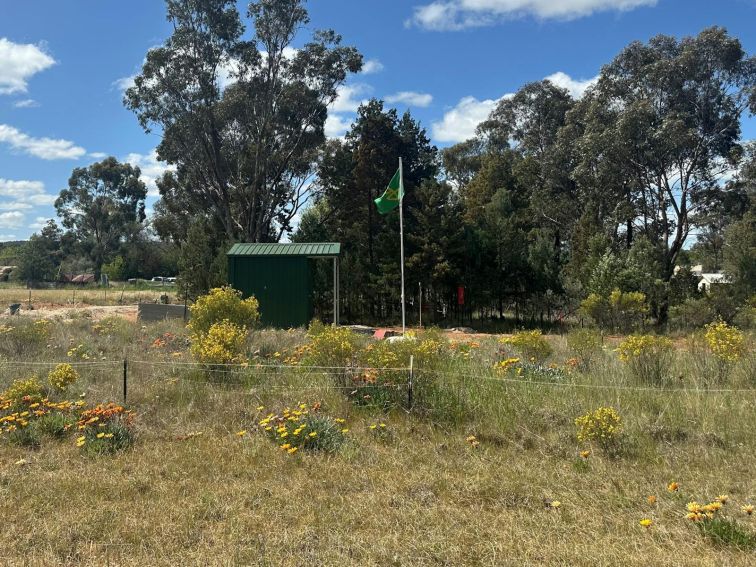 A view of a quarter-acre country block with a garden, a green garden shed, flagpole and trees