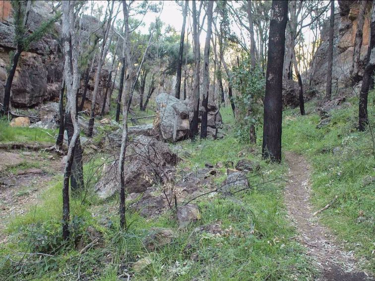 Burbie Canyon walking track, Warrumbungle National Park. Photo: Sue Brookhouse