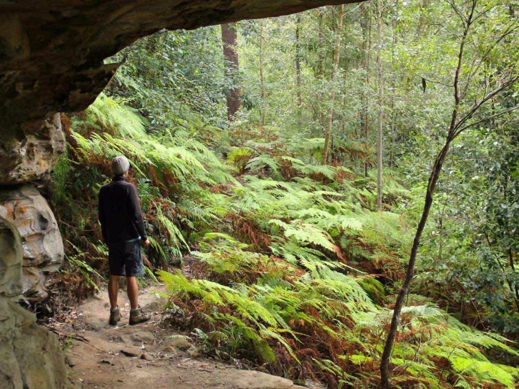 Man walking on the 11km walking track. Photo: John Yurasek