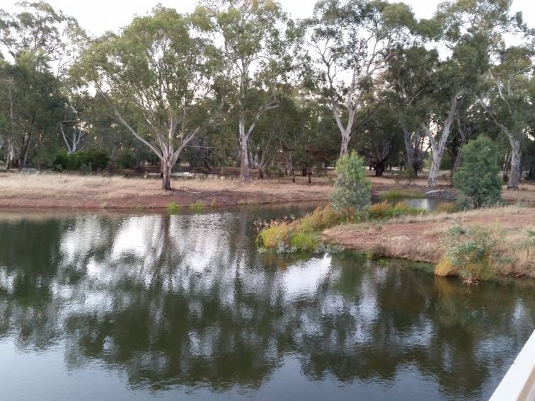 West Wyalong/Wyalong