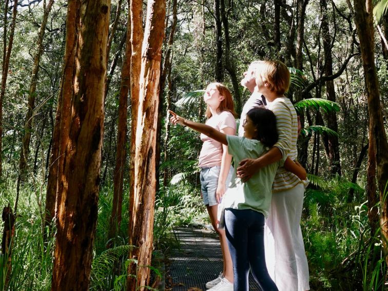 People walking in the forest