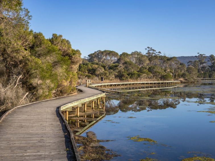 Aslings Beach, Eden, NSW, Sapphire Coast, South Coast, Walks