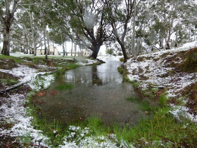 Snow by the water