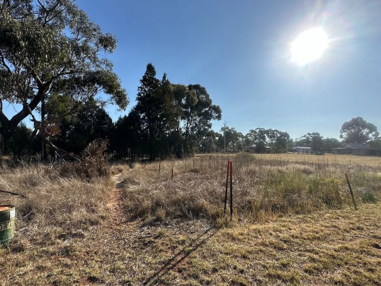 A gravel track running through Urabba Street Reserve, native grassland and flagpole