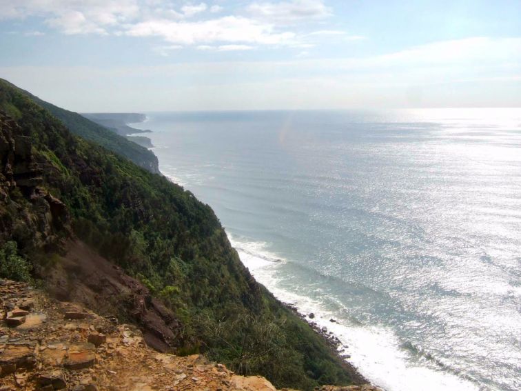 Werrong Beach track, Royal National Park. Photo: OEH