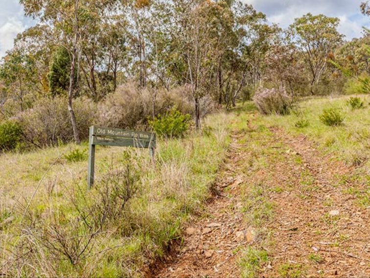 Old Mountain Road Walking Track