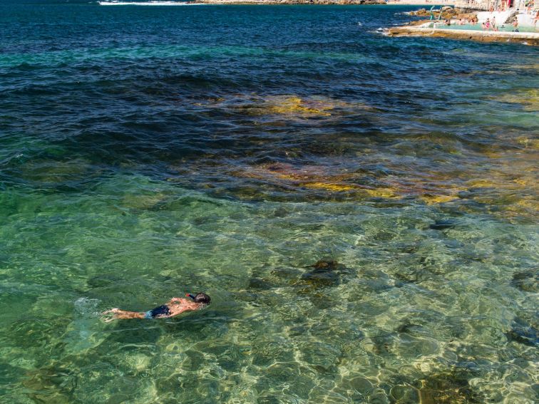 Snorkelling in Cabbage Tree Bay