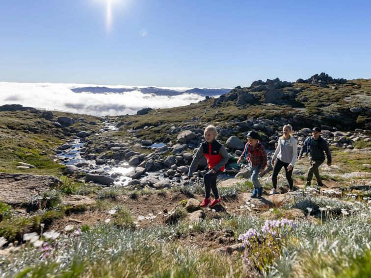 Thredbo family hiking