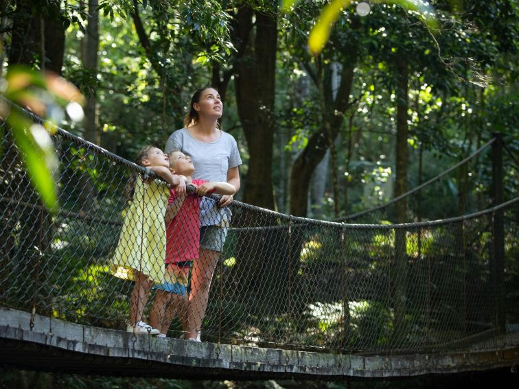 Suspension Bridge along the Minnamurra Rainforest Loop Walk