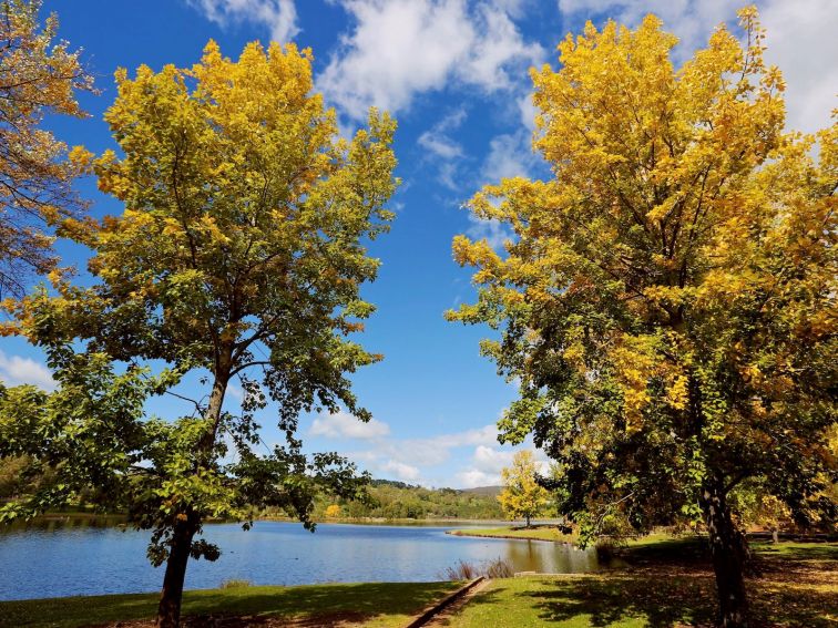 Lake Canobolas foreshore