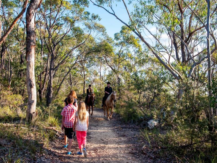 Exploring the Anambo Reserve Walk