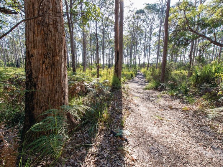 Nadgee, Nadgee Walk, Sapphire Coast