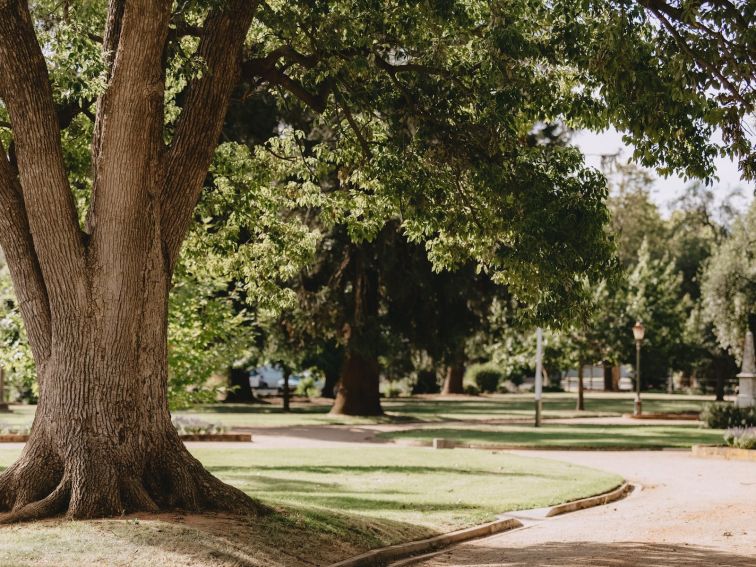 Collins Park - Wagga Wagga