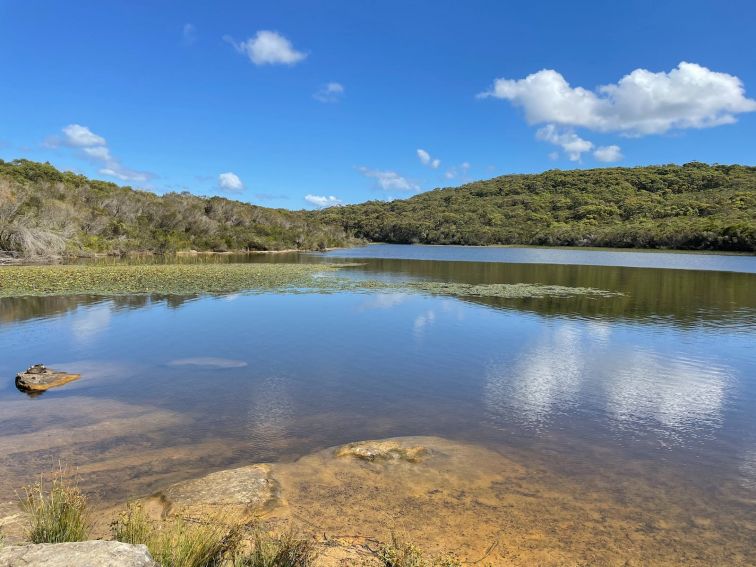 Sunny day at Manly Dam