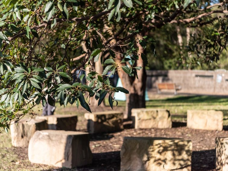 Sandstone boulders placed in a circle for people to sit, with tree leaves in foreground of photo.