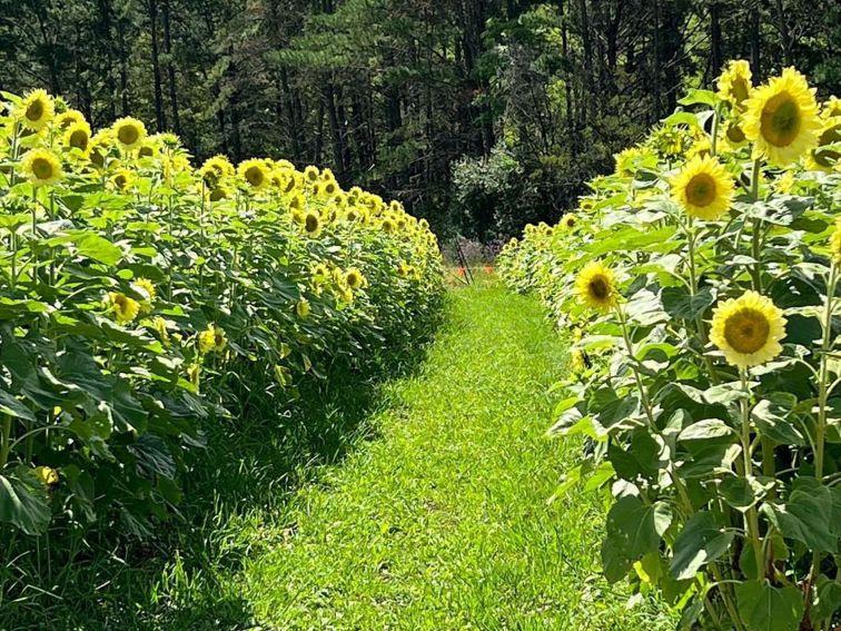 Glenbernie Family Farms