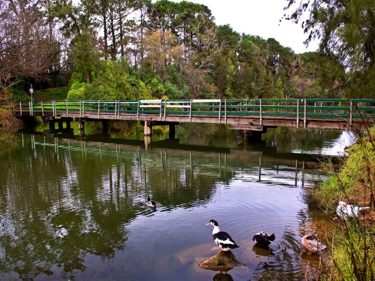 Nepean River