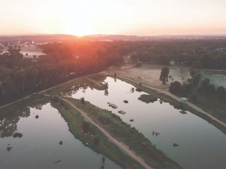 Aerial view of the wetland at dawn