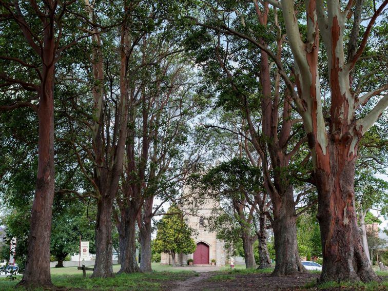 St James Church, looking through The Avenue of Trees