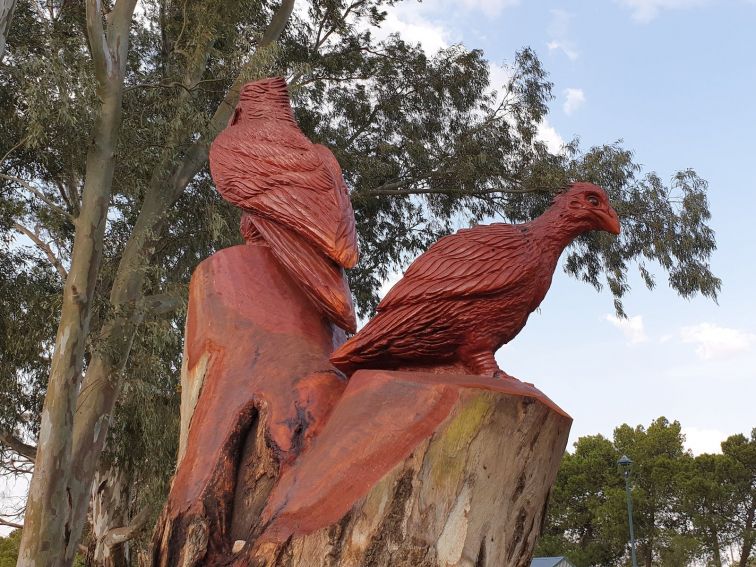 Wedge Tail Eagle behind Malleefowl