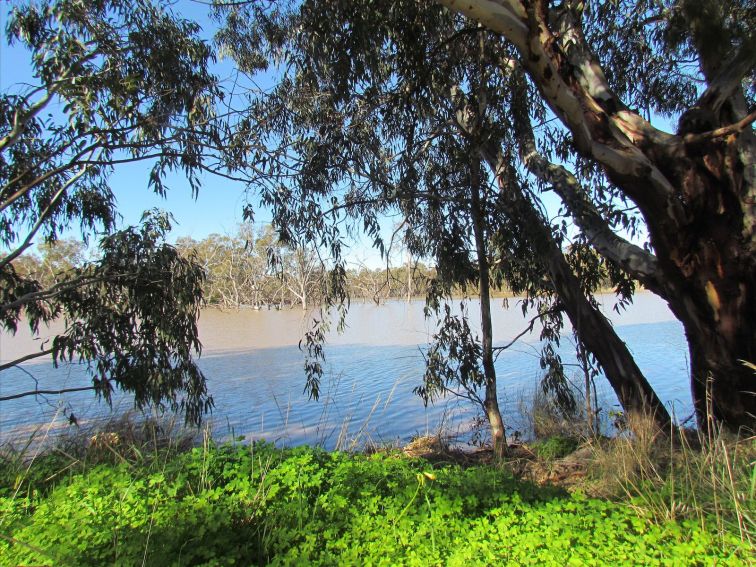 Lake Urana