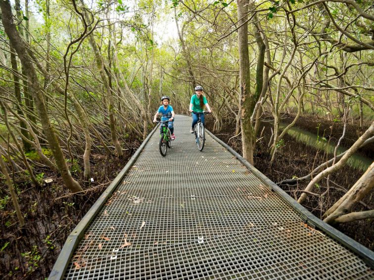 Coffs Creek Walk