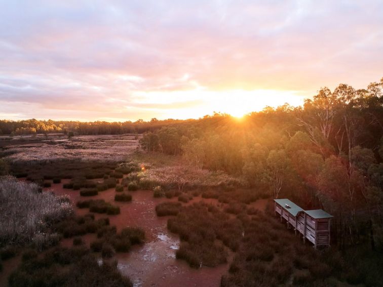 Reed Beds Bird Hide