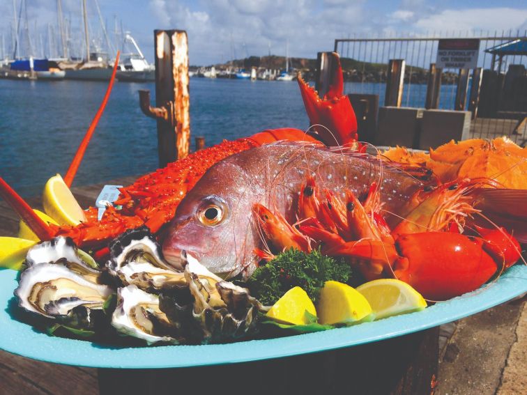 Coffs Harbour Fishermens Coop