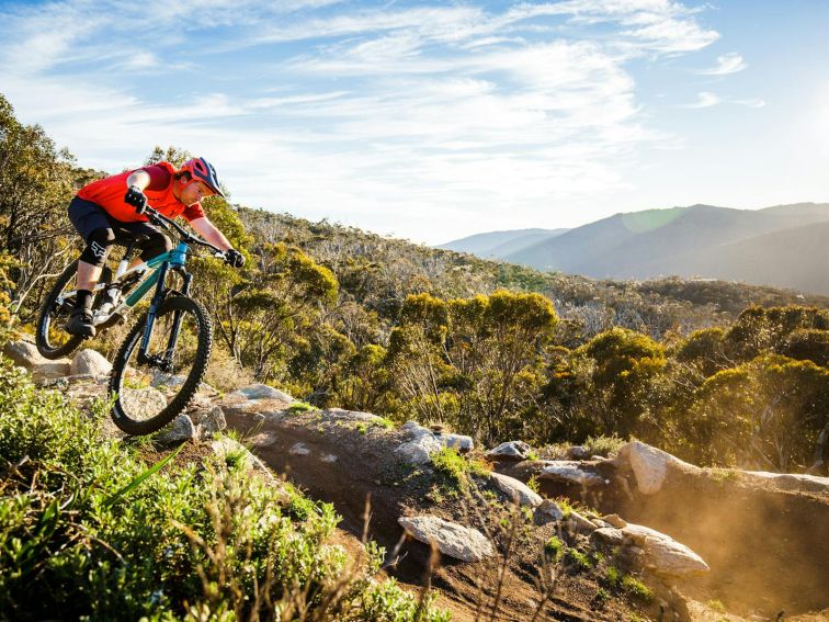 Thredbo Mountain Bike Park