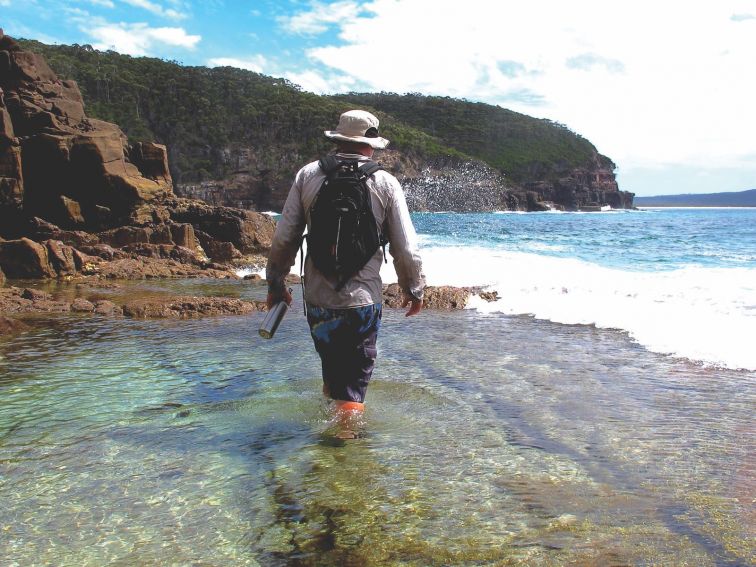 Nadgee Wilderness Walk, Nadgee Nature Reserve, Sapphire Coast, Walks