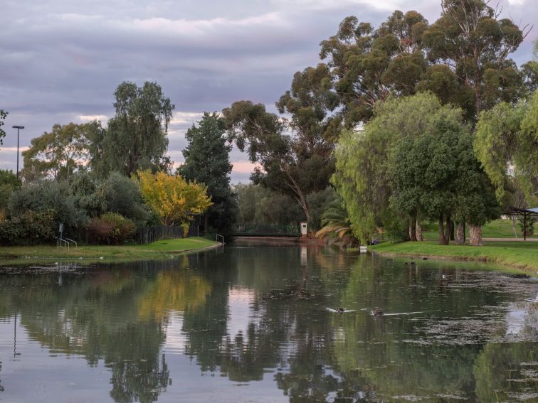 The Main Canal - Griffith