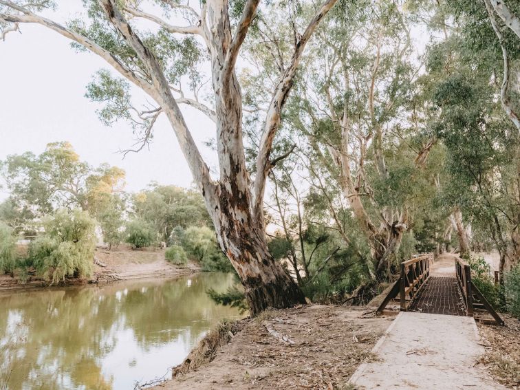 Wiradjuri Walking Track in Wagga Wagga