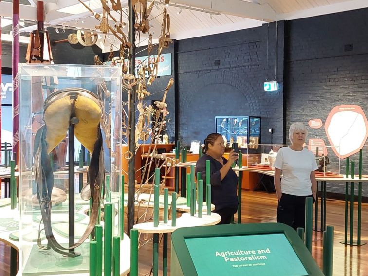 Photo of some objects in their display cabinets and interpretive panels.