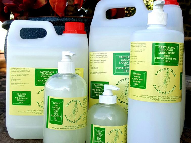 Various sizes of castile and coconut liquid soap with eucalyptus oil for hand and body washing.