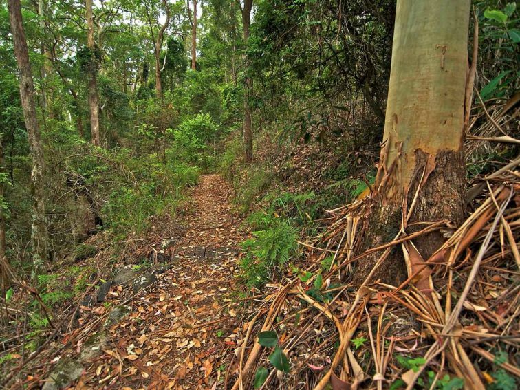 Looking along the Border Loop track. Photo:John Spencer