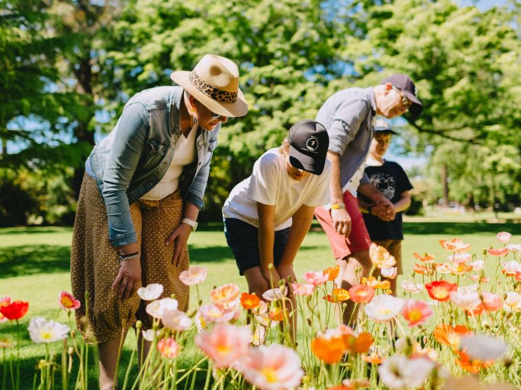 Albury Botanic Gardens - Flowers