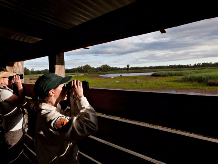 Reedbeds bird hide, Murray Valley National Park. Photo: David Finnegan