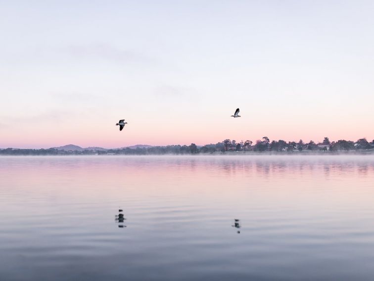 Lake Albert