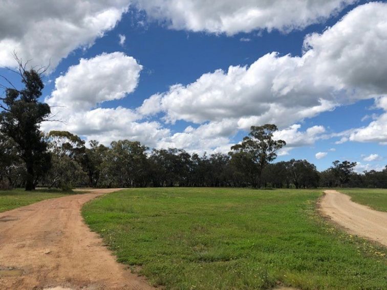 Bogan Weir free camp area