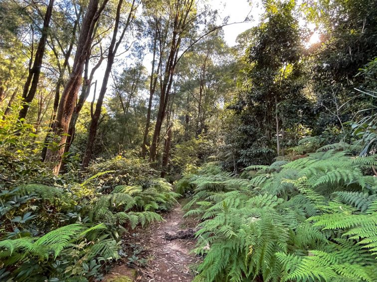 Pathway on Allenby park Walk