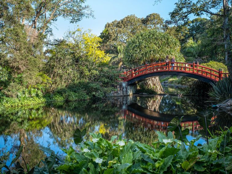 Wollongong Botanic Garden