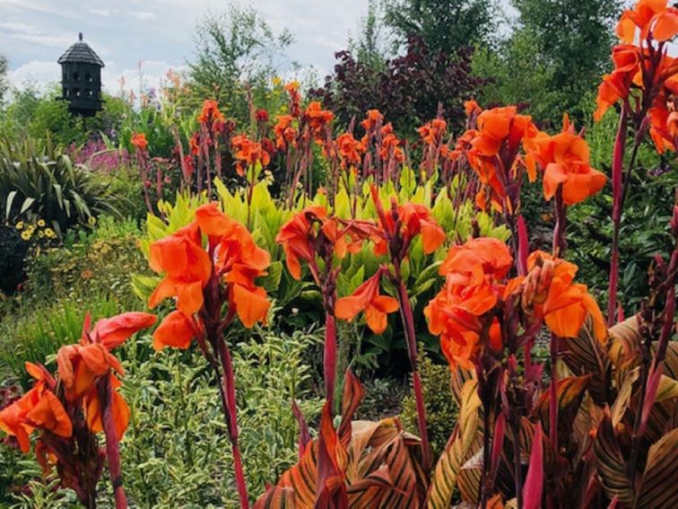 the long border is a part of garden that is full of seasonal colour from spring till autumn.