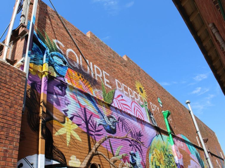 Cowra Laneway Mural