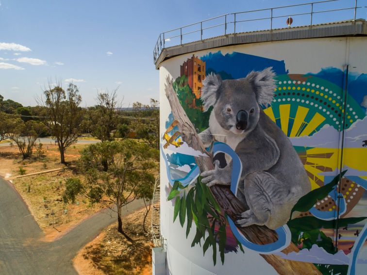 Narrandera Water Tower